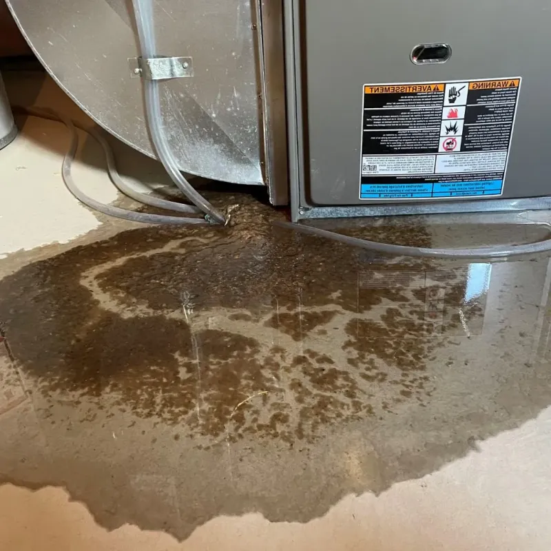 Pipe Burst and Leak Restoration in Stockton, KS